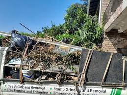 Best Dumpster Rental Services  in Delisle, MS
